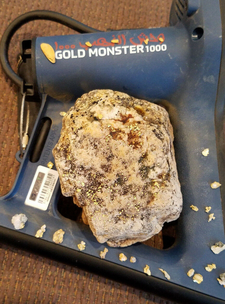 Металлодетектор Minelab Gold Monster 1000 - фотография
