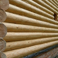 Антисептик «Nortex»-Lux для древесины, дерева - фотография